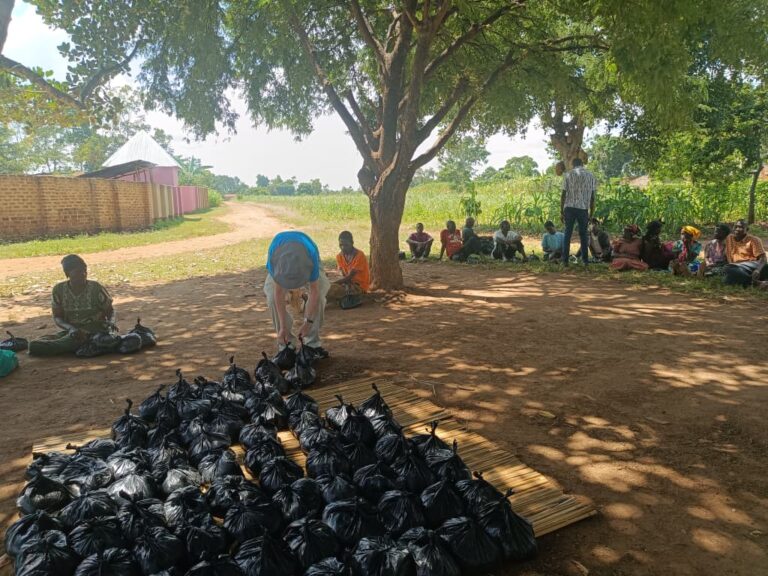 WhatsApp Image 2026-01-08 at 11.05.39 PM